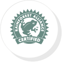 rainforest alignment environmental logo