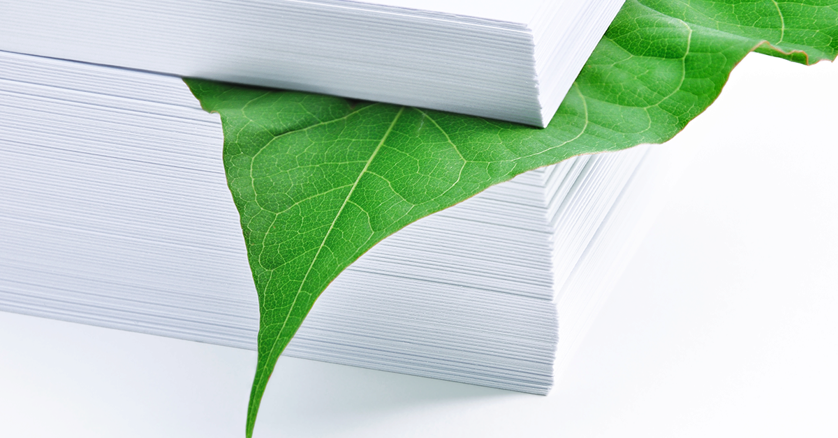 sustainable office paper