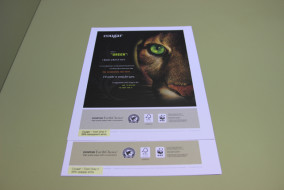 Ink-Transparency-Cougar-Paper