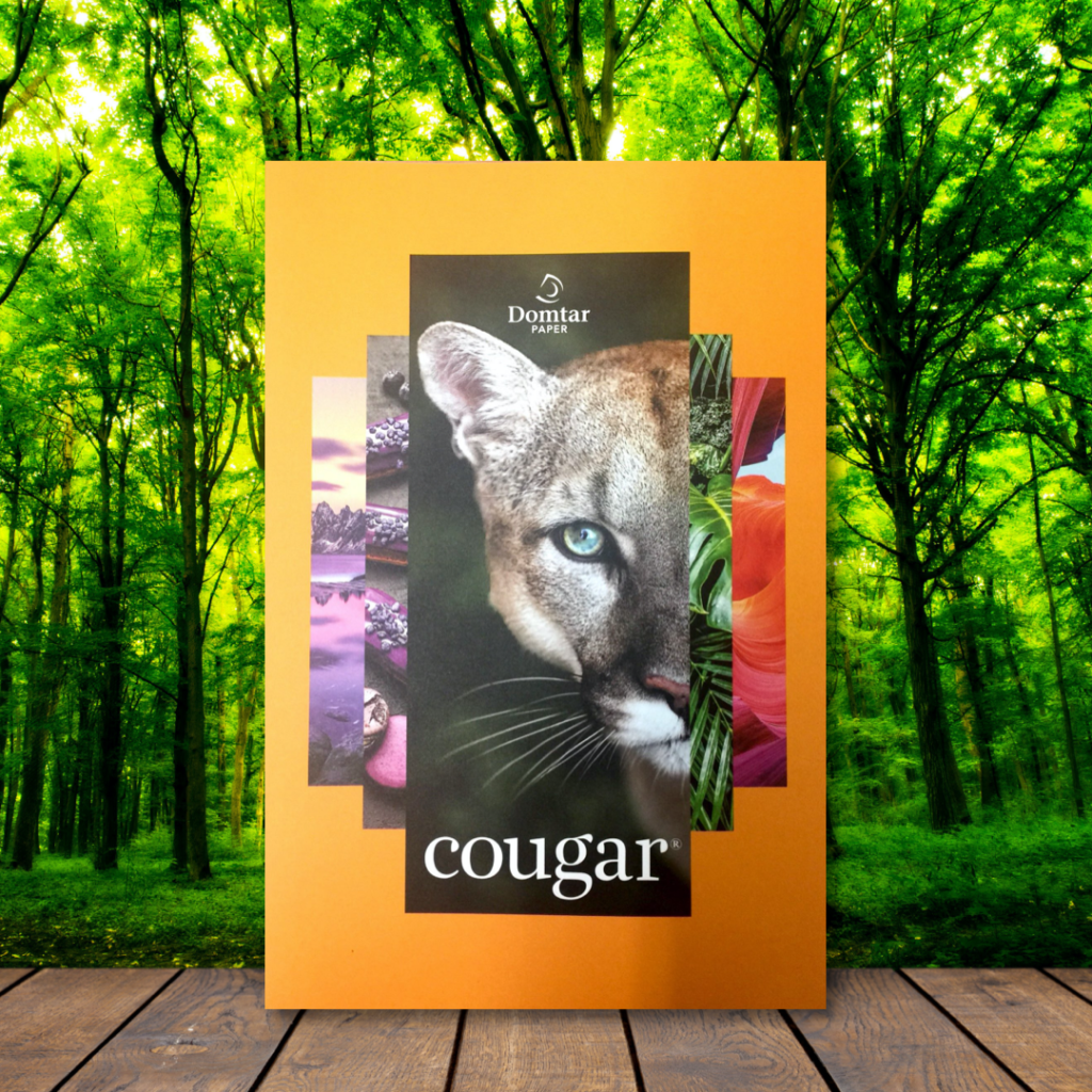 Wildlife-Week-Cougar-Swatchbook